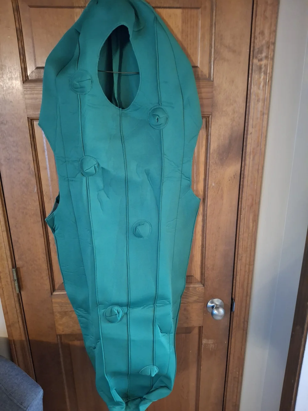 Pickle Costume - Green
